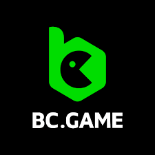 Understanding BC.Game KYC A Comprehensive Guide -723191044 Understanding BC.Game KYC A Comprehensive Guide -723191044