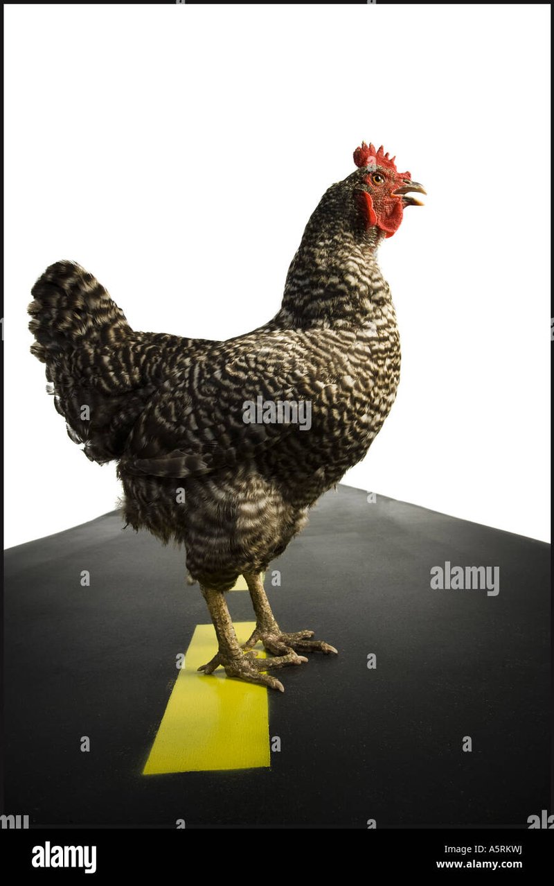 Chicken road oficial - Descubre el Fuego de la Suerte en el Juego de Azar de la Carretera del Pollo