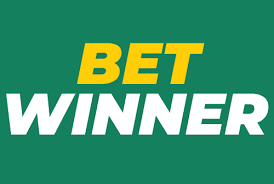 Experience the Thrill of BetWinner Online Casino Your Ultimate Gaming Destination