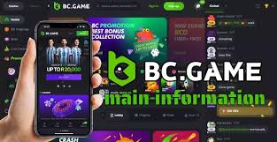Exploring the Payment Methods at BC.Game Exploring the Payment Methods at BC.Game